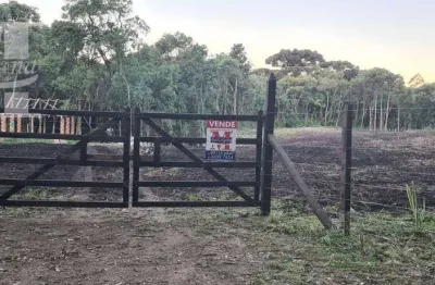 Terreno chácara campo largo industrial 18 mil m2 ótima localização