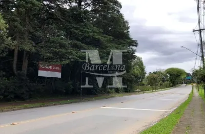 Terreno à venda em Santa Felicidade, Curitiba 