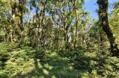 Terreno à venda na estrada morro calçado, 1420, morro calçado, canela por r$ 2.000.000