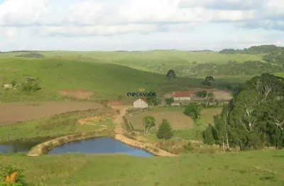 Chácara / sítio com 4 quartos à venda na rs 476, 6, eletra, são francisco de paula por r$ 8.500.000