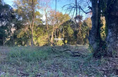 Terreno em condomínio fechado à venda na municipal vicente menezes, 6946, linha 40, caxias do sul por r$ 400.000