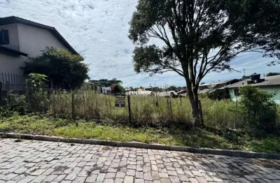 Terreno à venda na rua primitiva zatti, 2, são ciro, caxias do sul por r$ 599.000