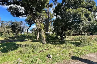 Terreno à venda na rua assunta bolson da luz, 3, vila verde, caxias do sul por r$ 330.000
