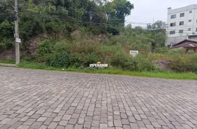 Terreno à venda na rua francisco lorenzi, 367, cidade nova, caxias do sul por r$ 195.000