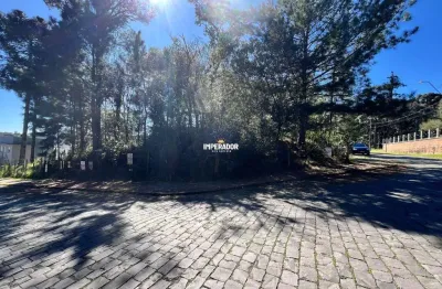 Terreno à venda na rua ruy josé bisol filho, 1, ana rech, caxias do sul por r$ 240.000