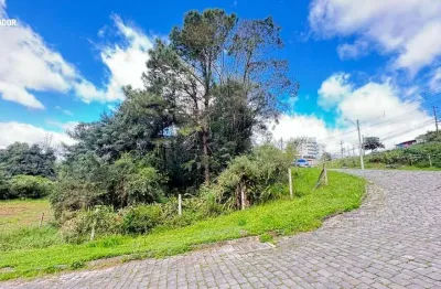 Terreno à venda na rua tereza pezzi, 2, panazzolo, caxias do sul por r$ 380.000