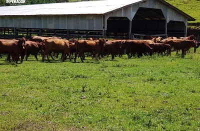 Terreno à venda na vôs 315, 1, criúva, caxias do sul por r$ 16.680.000