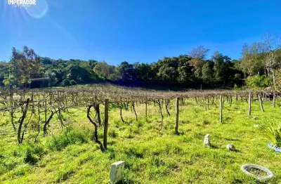Chácara / sítio com 2 quartos à venda na municipal joão boldo, 773, pedancino, caxias do sul por r$ 3.500.000