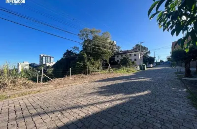 Terreno à venda na rua pedro pezzi, 1236, panazzolo, caxias do sul por r$ 2.500.000