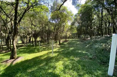 Terreno à venda na angelo pasinatto, 1650, são ciro, caxias do sul por r$ 790.000