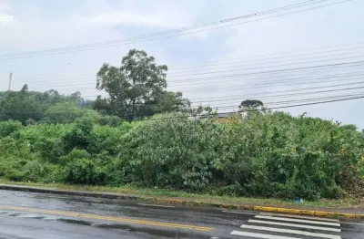 Terreno à venda na rua jacob luchesi, 3871, santa lúcia do piaí, caxias do sul por r$ 18.348.000