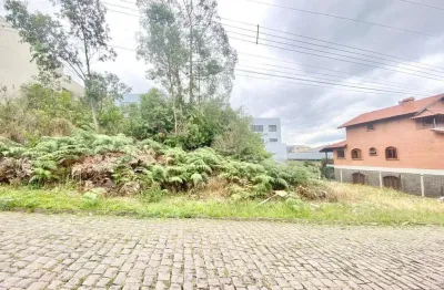 Terreno à venda na rua doutor fredi corrales marin, 2, cinqüentenário, caxias do sul por r$ 1.400.000