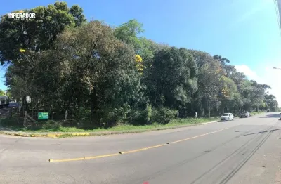 Terreno à venda na rua joão vergani, 243, cruzeiro, caxias do sul por r$ 2.100.000