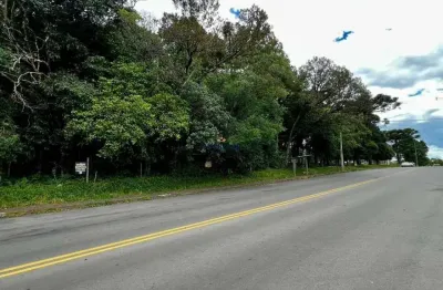 Terreno à venda na rua joão vergani, 243, cruzeiro, caxias do sul por r$ 2.100.000