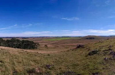 Terreno à venda na br 453, 1, tainhas, são francisco de paula por r$ 1.864.000