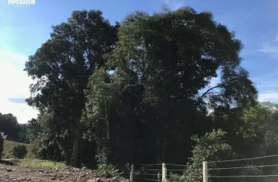 Terreno à venda na rua dionysio adami, 11, nossa senhora das graças, caxias do sul por r$ 6.360.000