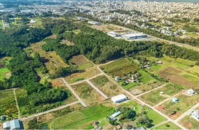 Terreno à venda na rua padre pedro piccoli, 222, monte bérico, caxias do sul por r$ 193.218