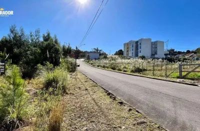 Terreno à venda na rua manoel francisco dos santos, 1, são luiz, caxias do sul por r$ 200.000