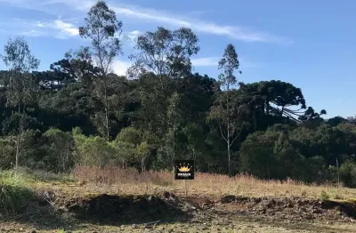 Terreno à venda na rua luiz rossato primo, 1, salgado filho, caxias do sul por r$ 300.000