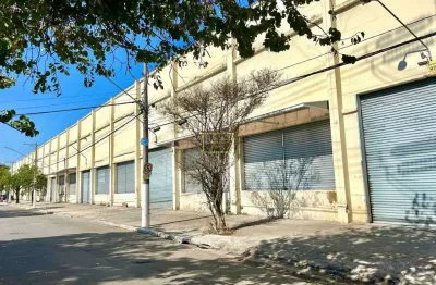 Barracão / Galpão / Depósito para alugar na Avenida Cardeal Santiago Luiz Copello, 597, Vila Ribeiro de Barros, São Paulo