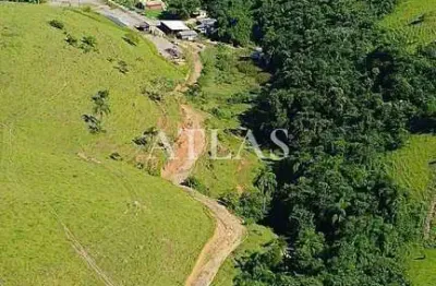 Terrenos à venda com escritura, 250 mil - loteamento de chácaras rurais, 20mil m2- rialto, barra ma