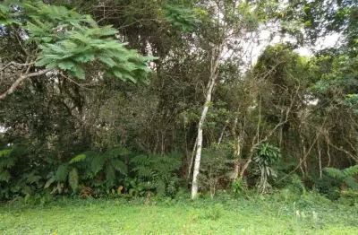 Terreno à venda em Santa Gabriela, Peruíbe 