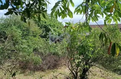 Terreno à venda no Jardim Umuarama, Itanhaém 