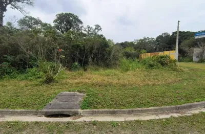 Terreno à venda na Avenida Flacides Ferreira, 796, Balneario Fênix, Itanhaém