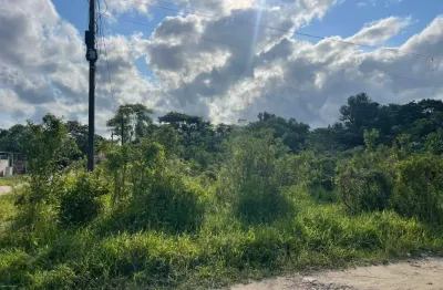 Terreno à venda no Parque Vergara, Itanhaém 