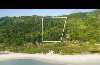 Terreno à venda na praia do forte, florianópolis  por r$ 3.500.000