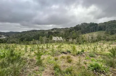 Terreno à venda na ÁRea Rural, S N, Zona Rural, Mandirituba