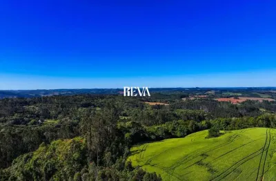 Terreno à venda na Estrada Campina Dos Maia, 00, Campina dos Maias, Piên