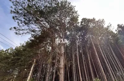 Terreno à venda na Estrada Sobrado, 00, Zona Rural, Agudos do Sul