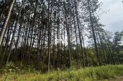 Terreno à venda na Estrada Principal Sobrado, 00, Zona Rural, Agudos do Sul
