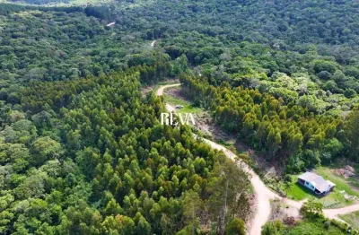 Terreno com 215.208,40 m² – ampla área verde, ideal para projetos residenciais,