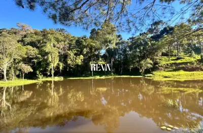 Chácara / sítio com 2 quartos à venda na Estrada Alberto Torres, 00, Área Rural de São Bento do Sul, São Bento do Sul