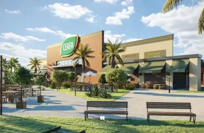 Loja no ceafa - centro de apoio à agricultura familiar e distribuição de alimentos em manhuaçu/mg.