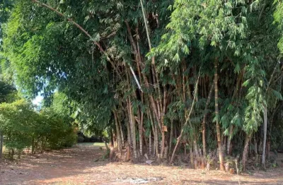 Chácara / sítio com 2 quartos à venda no Jardim Marajoara, Nova Odessa 