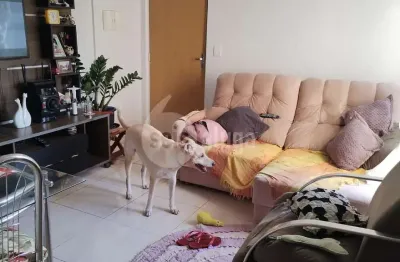 Apartamento à venda em americana sp | 2 dorms, 55m², r$183mil