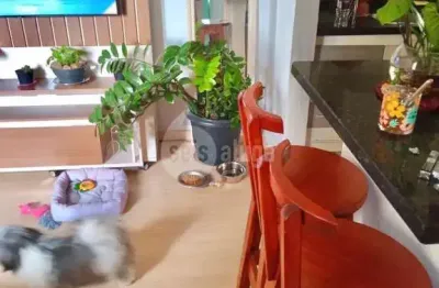 Apartamento com 2 quartos à venda na Vila Dainese, Americana 