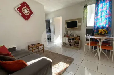 Apartamento à venda em americana sp, 2 dorms, 52m², r$118mil