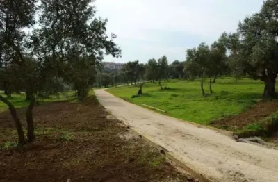 Chácara / sítio à venda no Chácaras Acapulco, Nova Odessa 