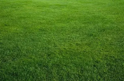 Chácara / sítio à venda na Vila Dainese, Americana 