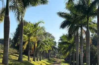 Sítio à venda em limeira, 600m², 5 quartos, 2 suítes – r$3,5 mi