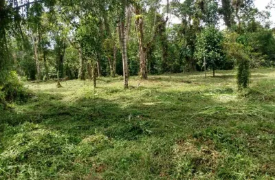 Terreno à venda no Parque Vergara, Itanhaém 