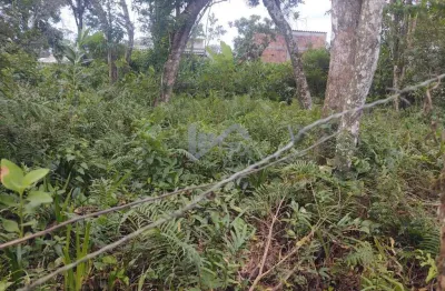 Terreno à venda no Balneário Gaivota, Itanhaém 