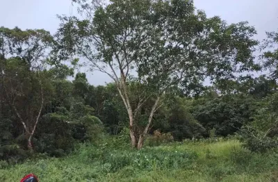 Terreno à venda no Balneário Gaivota, Itanhaém 