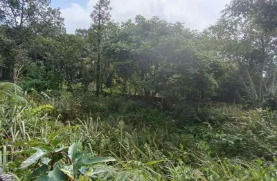 Terreno à venda em Balneário Marambaia, Itanhaém 