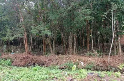 Terreno à venda no Jardim das Palmeiras, Itanhaém 