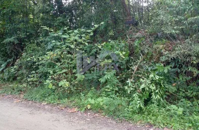 Terreno à venda no Jardim Coronel, Itanhaém 